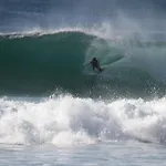 Surf 1