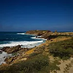 Surf 1